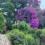 Casa Dos Assentos Hotel