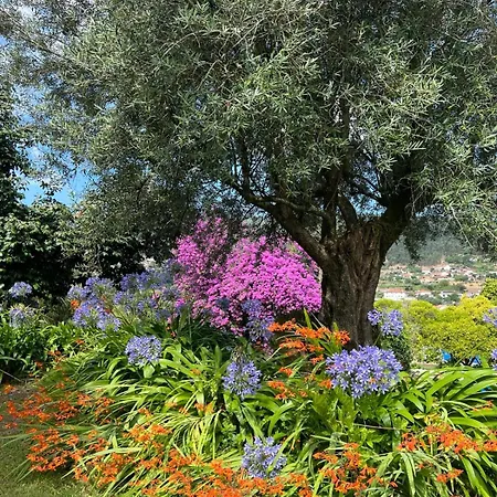 Casa Dos Assentos 3* Quintiães