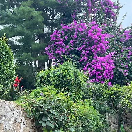 Casa Dos Assentos Hotel