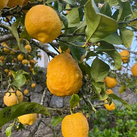 Casa Dos Assentos 3*