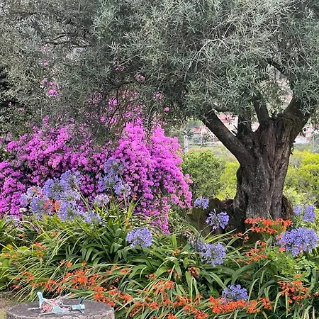 Casa Dos Assentos Hotel