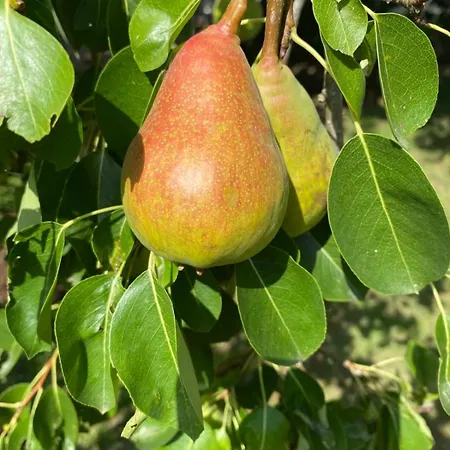 Casa Dos Assentos 3*