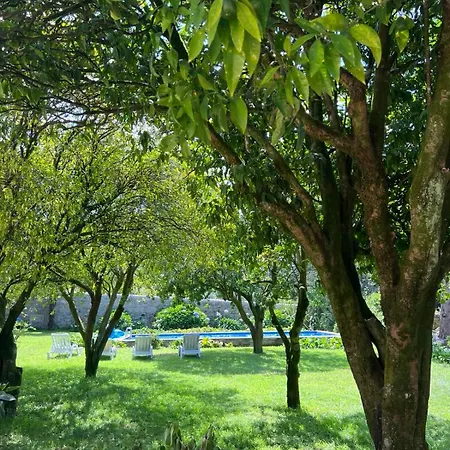 Casa Dos Assentos ホテル 3*