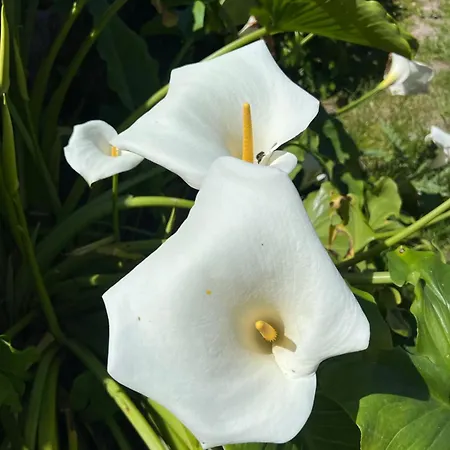 Casa Dos Assentos Quintiães