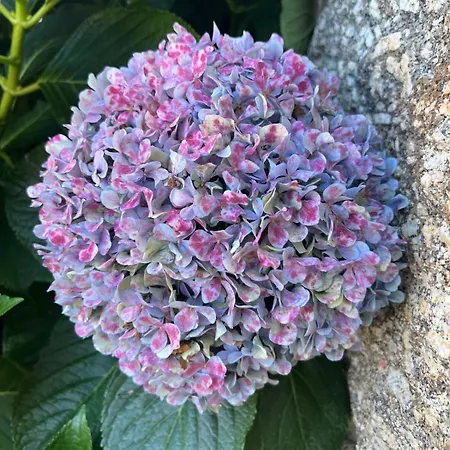 Casa Dos Assentos Hotel