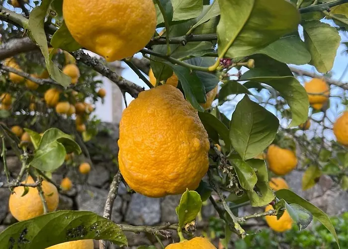 Casa Dos Assentos 3*