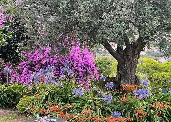 Casa Dos Assentos Hotel