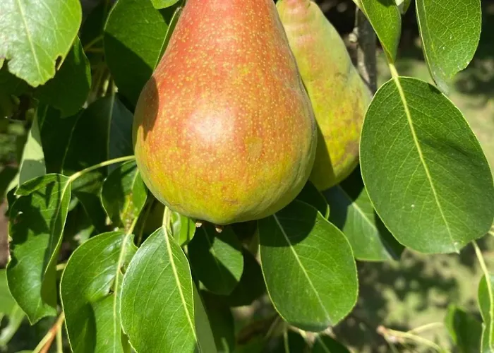 Casa Dos Assentos 3*