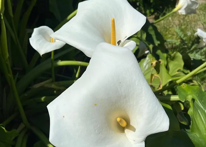 Casa Dos Assentos Quintiães