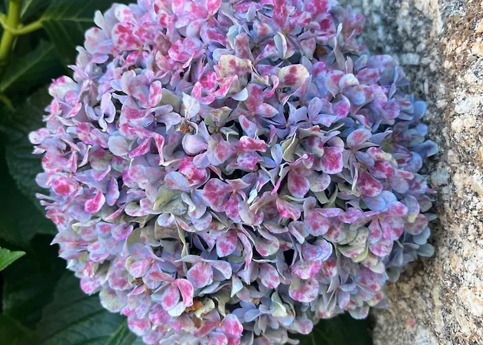 Casa Dos Assentos Hotel